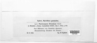 Image Associated With the Occurence